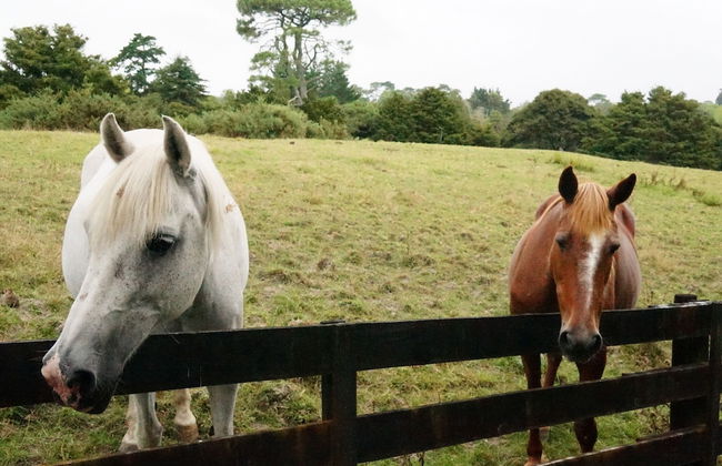 Silver Waters Lodge - Photo 47