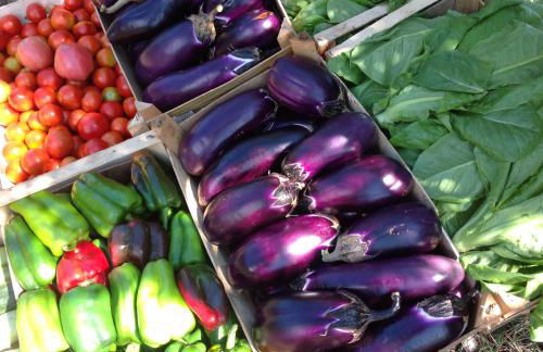 Hotel Agriturismo Santa Margherita - Foto 33