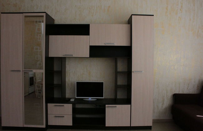 Apartment on Kamyshovaya 41, apt 2 - Photo 5