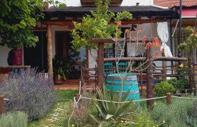 Jardines del Acebron - Photo 1