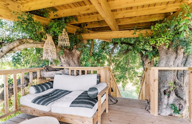 Conversas de Alpendre - Foto 50