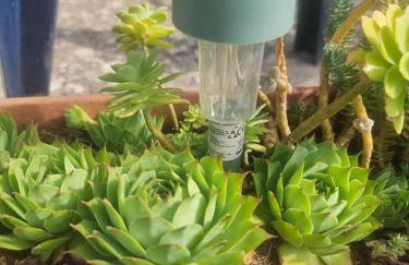 Apartman La me - Foto 22