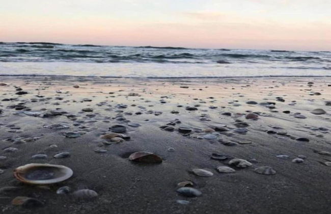 Apartment in Coriano Near Vineyards & Beaches - Foto 29