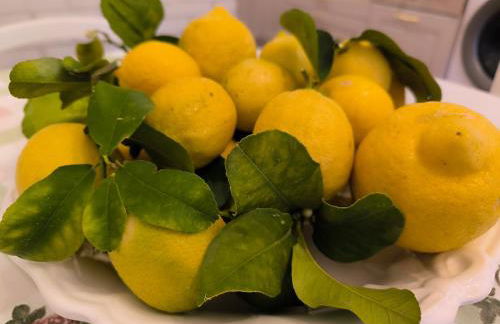 Casa dei Mori oasi di pace - Foto 12