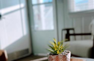 Seaward Escape - Cherry Grove Beach - Foto 12