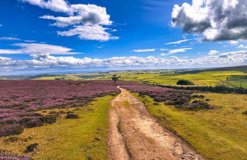 A D Coach House Cottage - Foto 11