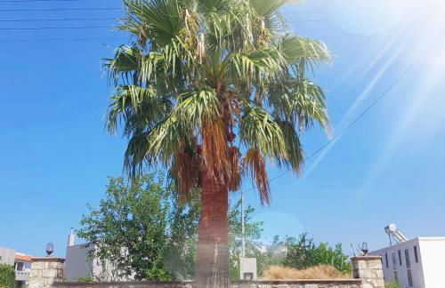 Katy's Luxury Apartments - Photo 42