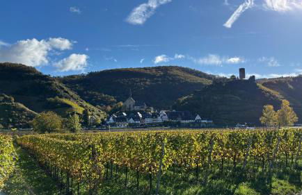 Haus im Weinberg - Foto 44