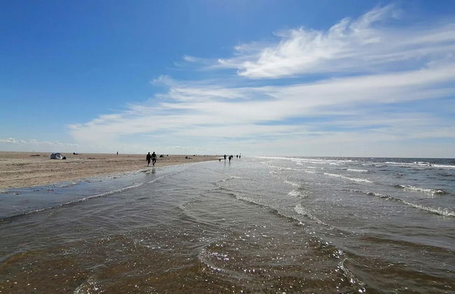 Aalernhus Residenzen in St.peter-ording - Photo 37