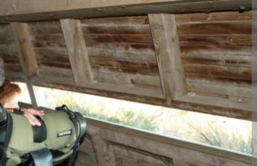 Studio neuf Garance 35 m2 Salin de Giraud - Foto 16