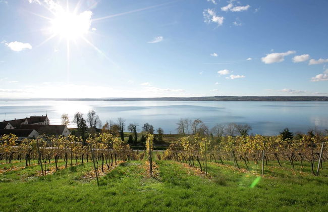 Spacious Apartment near Lake Constance with Covered Balcony - Foto 15