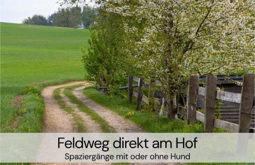 TinyHousebeiDresden mit Faßsauna unser größtes winziges Häuschen für bis zu 7 Personen, Kaminofen, große Terrasse - Nähe Sächsische Schweiz - Von Juni - September Mindestmietzeit 1 Woche Sa-Sa - Foto 32