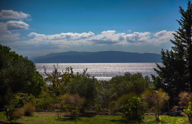 Driftwood Villa - Foto 47