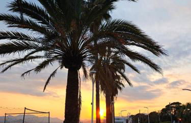 Cocon d'Azur - Foto 56