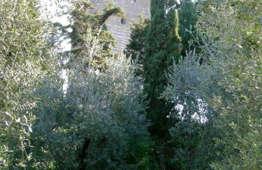 Torre dei Belforti - Foto 68