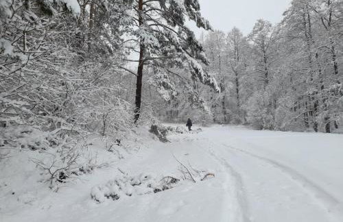 Drewniany Domek w Zakątku Andrzeje Śniczany 18 - Photo 29