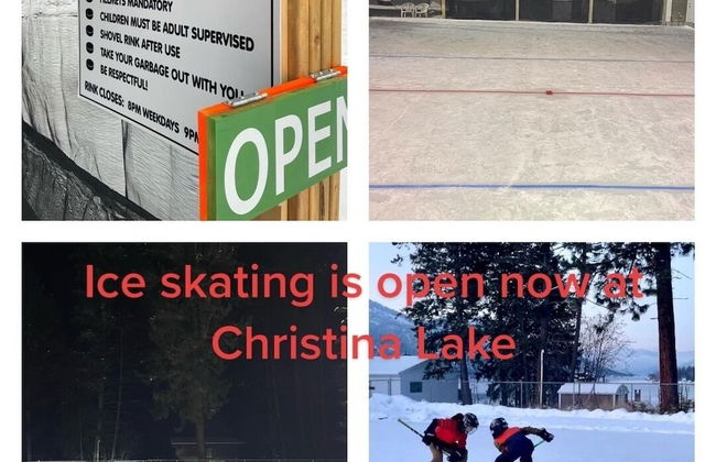 Barefoot Villas Cabin 2 Moose w/ Hot Tub - Photo 71