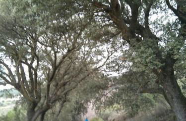 A 11 km de Riopar Casa Acogedora con sabor antaño - Foto 31