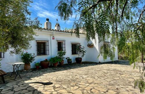 Casa de Campo La Mejorana Refugio entre olivos sin renunciar al confort - Foto 18