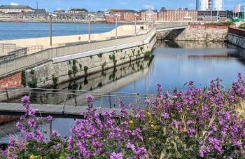 The Blue Door - Photo 11