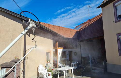 Les Chouchous du Ried 1 - Foto 19