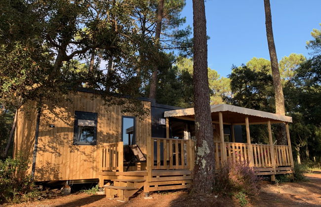 Premium Cocoon - Foto 19