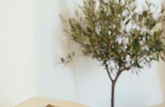 SantoCaves - Foto 12