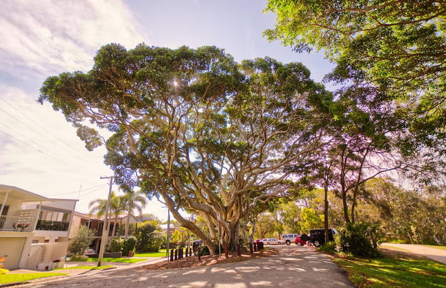 Raintrees Resort - Foto 61