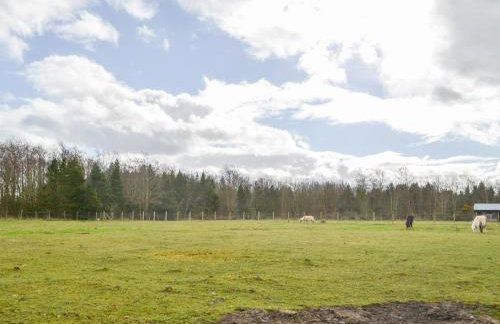 Old Colliery Cottage - Foto 13