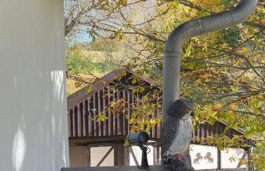 Dom po schodkach - Foto 61