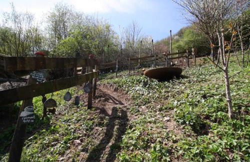 Komfort Ferienwohnung FEWO74-2 - Foto 42