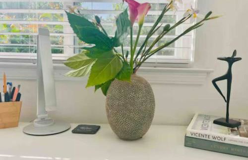 10 mins to SJC Fastest 2 Gigabit WiFI Open Floor BBQ Grill Fireplace Fenced Yard Pet Friendly - Foto 7