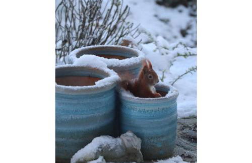 Ferienwohnungen Seerose - Foto 49