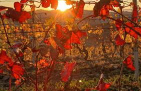 Casa vacanza il colle del vento - Foto 31