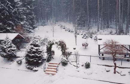 Thüringer Waldbaude - Foto 56