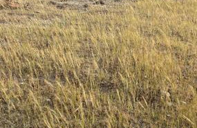 Tsikalario Beach House - Foto 22