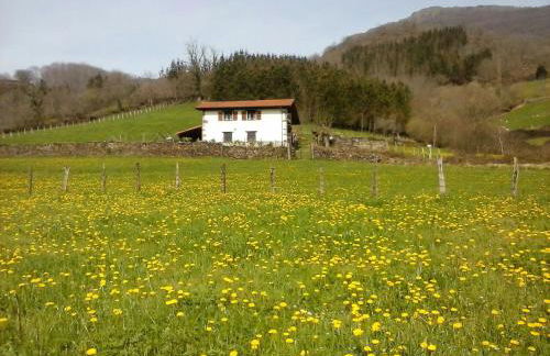 Alberroakoborda - Foto 6