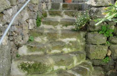 O Antigo Lagar - Photo 10