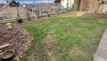 TOP Wohnung in Volkach A3 Ausfahrt Top Service - Foto 2, Garden