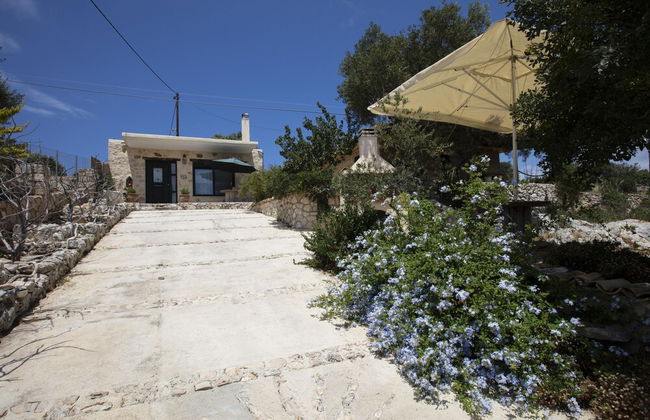 Anemos Studio - Foto 32