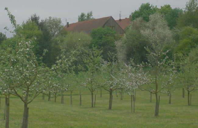 Apartment in Tauberbischofsheim - Foto 12
