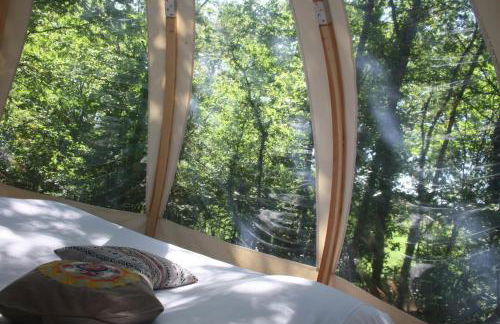 Ô bois dormant - Foto 47