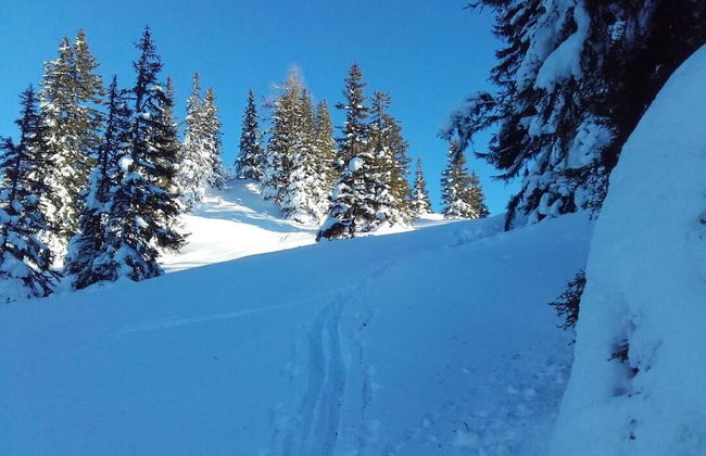 Room-holiday Home Kahr Apartment Roßbran - Photo 24