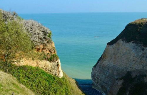 Superbe propriété bord de mer - Le Clos Ricarda - Foto 30