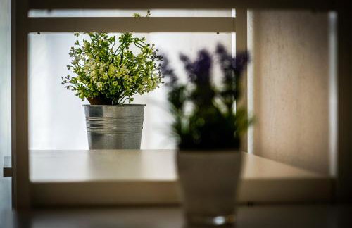 Guesthouse Klara - Foto 59