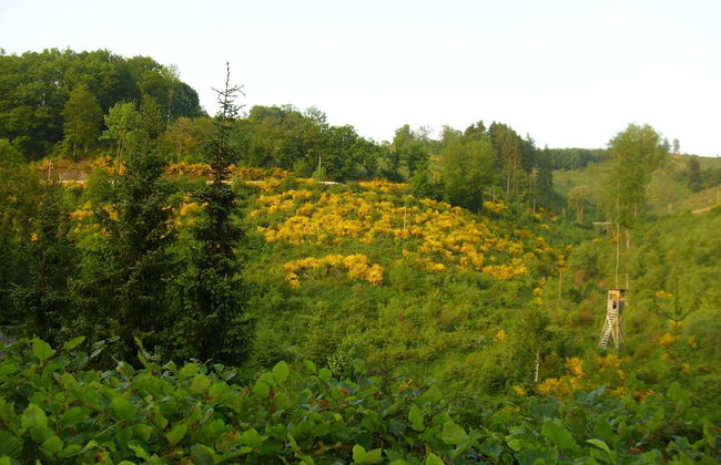 Charming Apartment With Balcony, Garden, BBQ, Parking, Heating - Foto 33