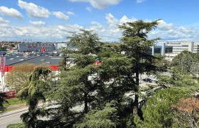 House Samaniego 12 - Photo 3