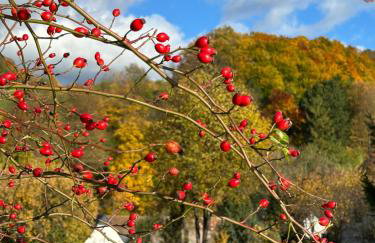 Dom Pod Dębem Agroturystyka - Foto 63