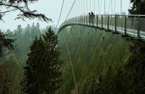 Königsgleis-Apartments - Foto 27