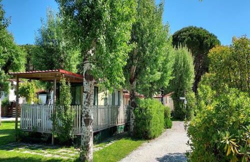 Mobile Home in Sarazena in einem Ferienpark - Foto 9